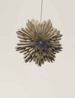 Adventsstjärna 'Oslo' 80cm - Brun