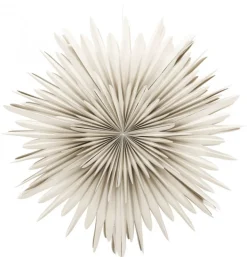 Adventsstjärna 'Svedala' 100cm - Beige