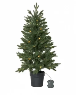 Julgran 'Byske Belysning' - Grön