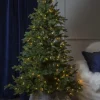 Julgran 'Larvik Belysning' - Grön