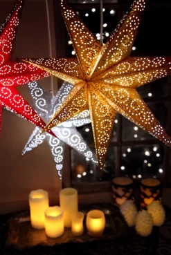 Julstjärna 'Antique' - Röd