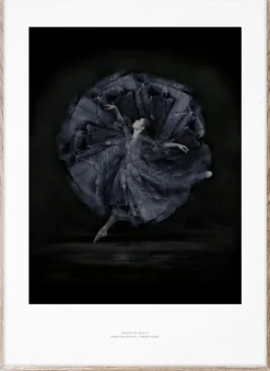 Poster 'Essence of Ballet 06' 50x70 - Svart/Vit