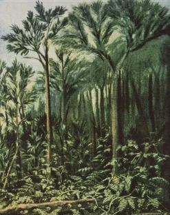 Väggbonad 'Botanic' 100x127 - Grön